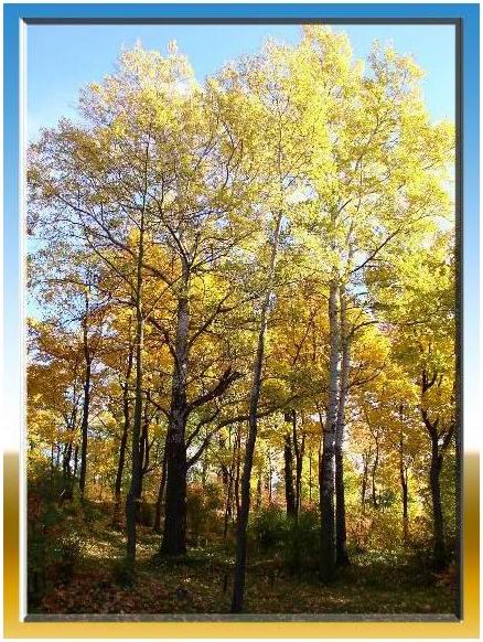 photo "Recollecting autumn." tags: landscape, nature, autumn