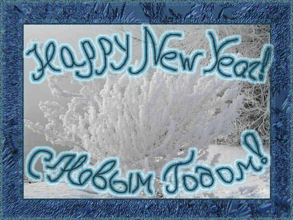 photo "Happy New Year!" tags: misc., 