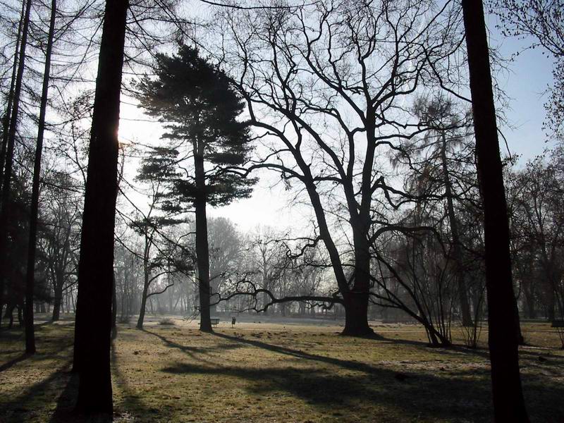 фото "In the Park" метки: природа, пейзаж, осень, цветы