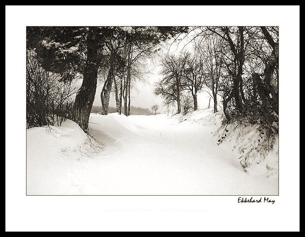 photo "silent days" tags: landscape, black&white, winter