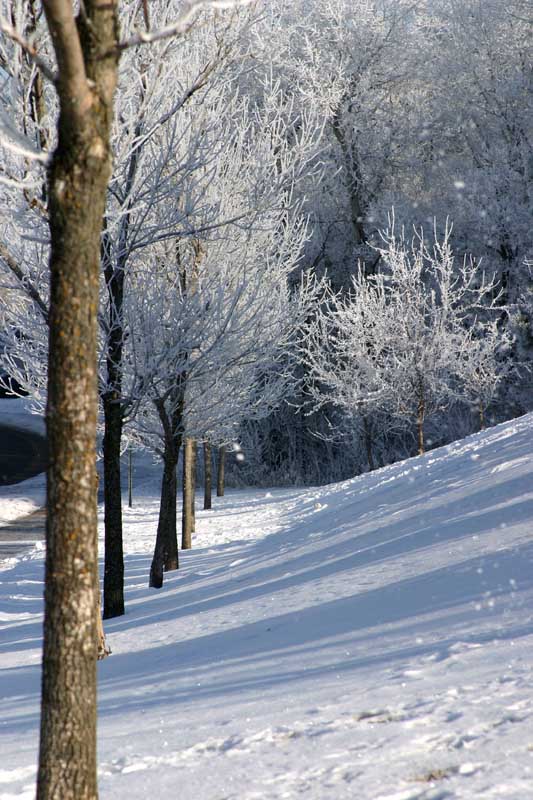 photo "winter wonders" tags: landscape, winter