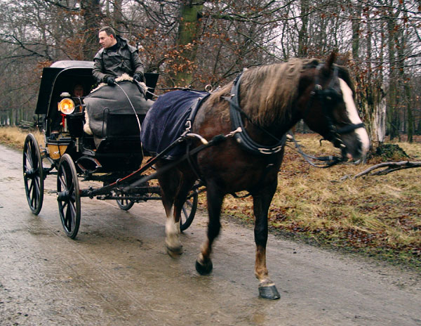 фото "Carriage Driving" метки: путешествия, природа, Европа