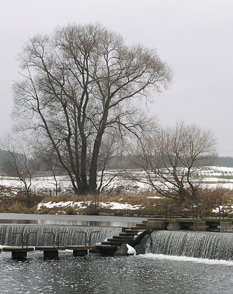 photo "No winter December" tags: landscape, water, winter