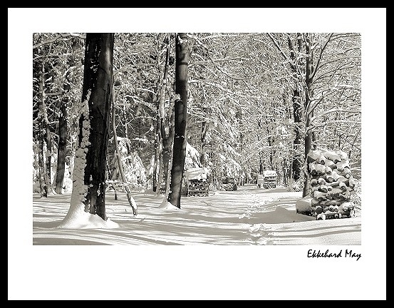 photo "winter im odenwald" tags: landscape, winter