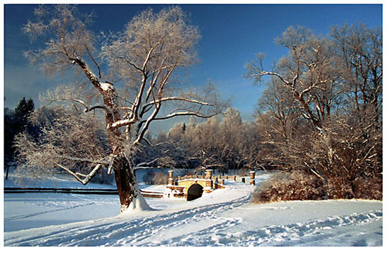 photo "Winter silence" tags: landscape, winter