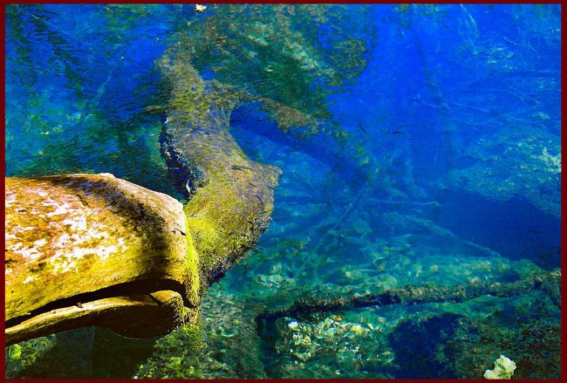 photo "Dragon`s Lair" tags: underwater, landscape, water