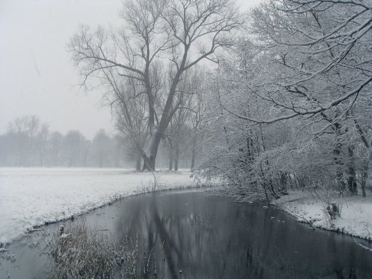 фото "Snow in Holland" метки: природа, 