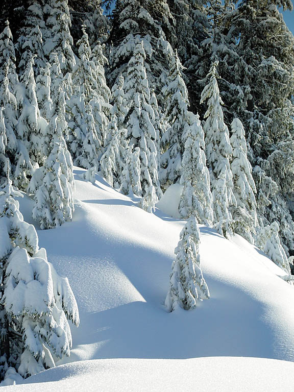 photo "On a Slope" tags: landscape, mountains, winter