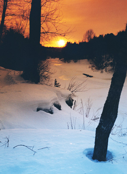 photo "Morning of New year!" tags: landscape, forest, winter