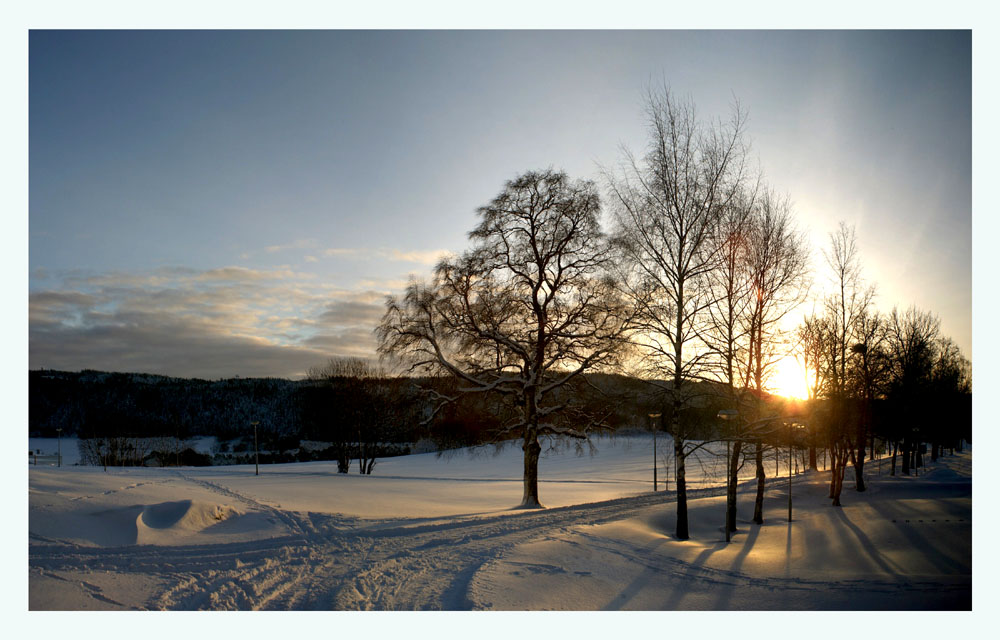 photo "Winter etude last day of 2003" tags: landscape, winter