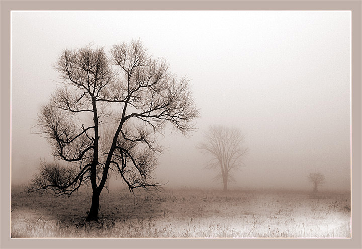 photo "New Year`s dance" tags: landscape, montage, winter