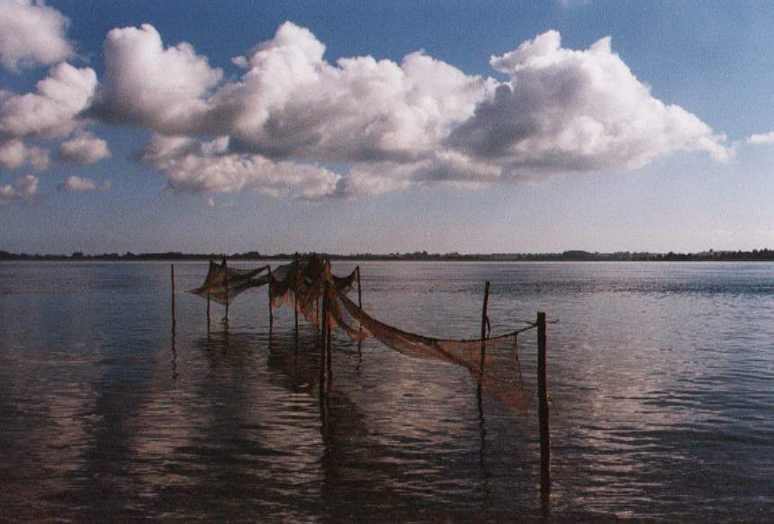 photo "Ocean" tags: nature, 