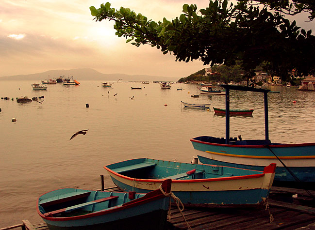 photo "Boats" tags: landscape, summer