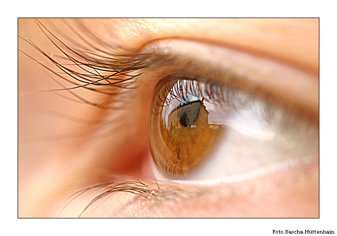 photo "- location in your eye -" tags: macro and close-up, 