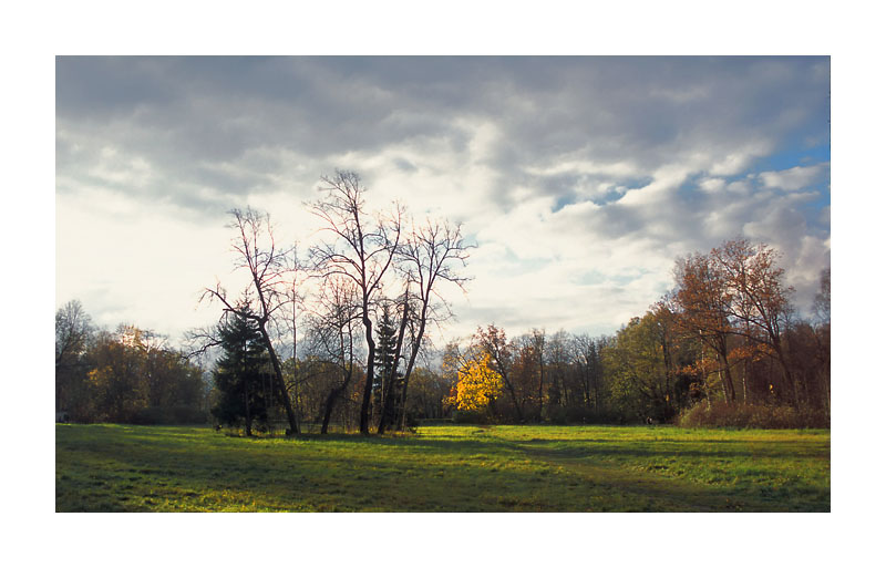 photo "In beams of the coming sun" tags: landscape, autumn, sunset