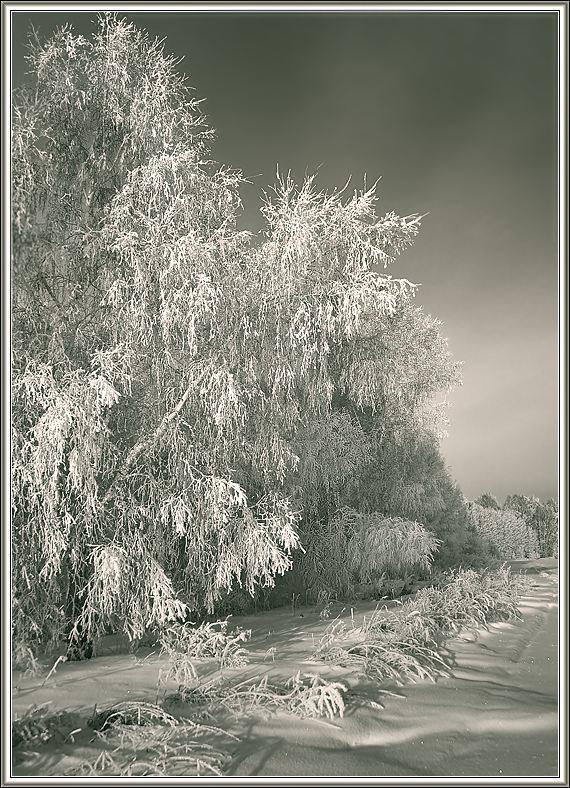 photo "Winter picture #4" tags: landscape, winter