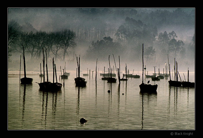 photo "The Fleet" tags: landscape, water, winter