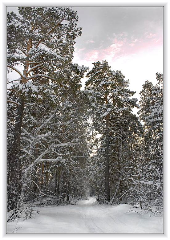 фото "Зимняя зарисовка #5" метки: пейзаж, зима