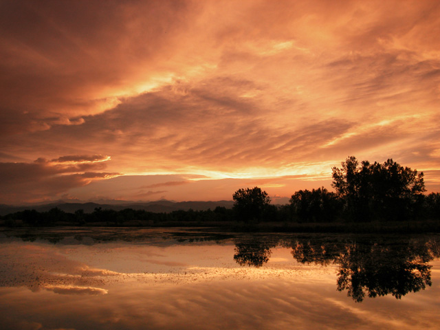 photo "Bronze Evening" tags: landscape, sunset, water