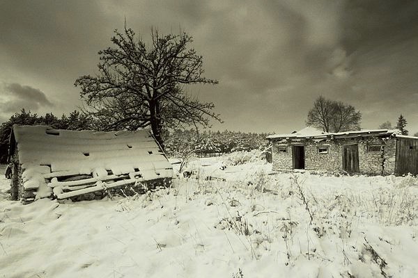 photo "моя страна" tags: landscape, black&white, winter