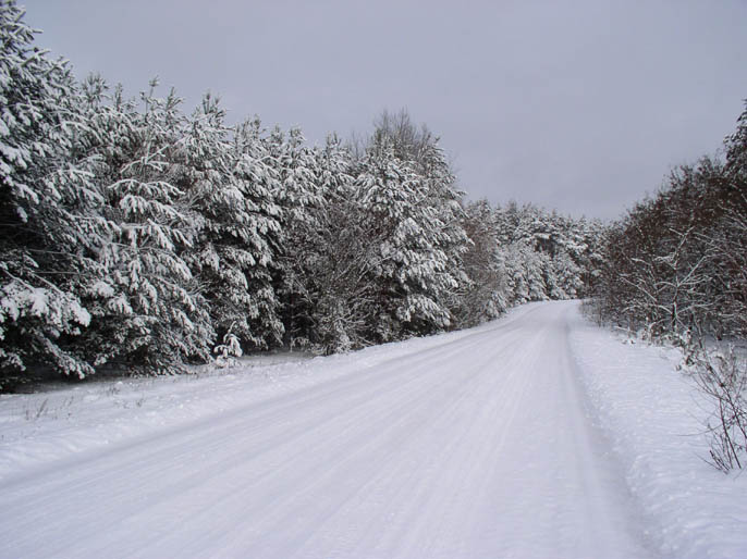 photo "Snowing winter" tags: landscape, winter
