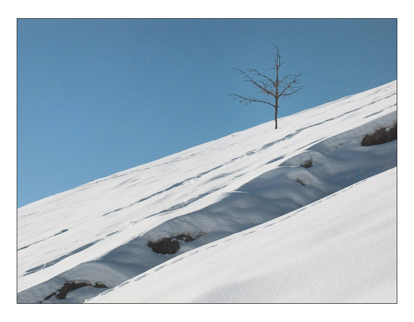 photo "On a slope" tags: landscape, mountains, winter