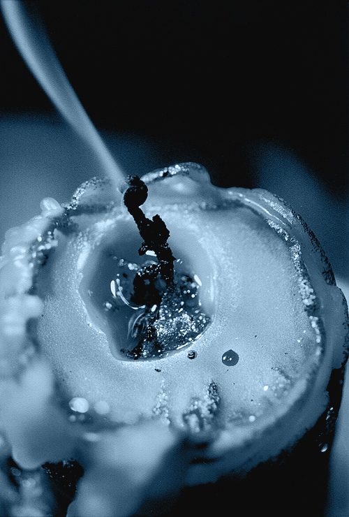 photo "End of the party..." tags: macro and close-up, black&white, 