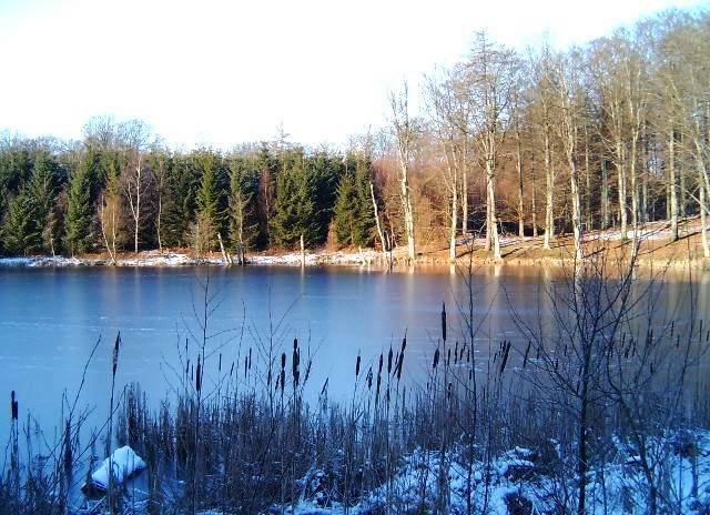 photo "Autum." tags: nature, 