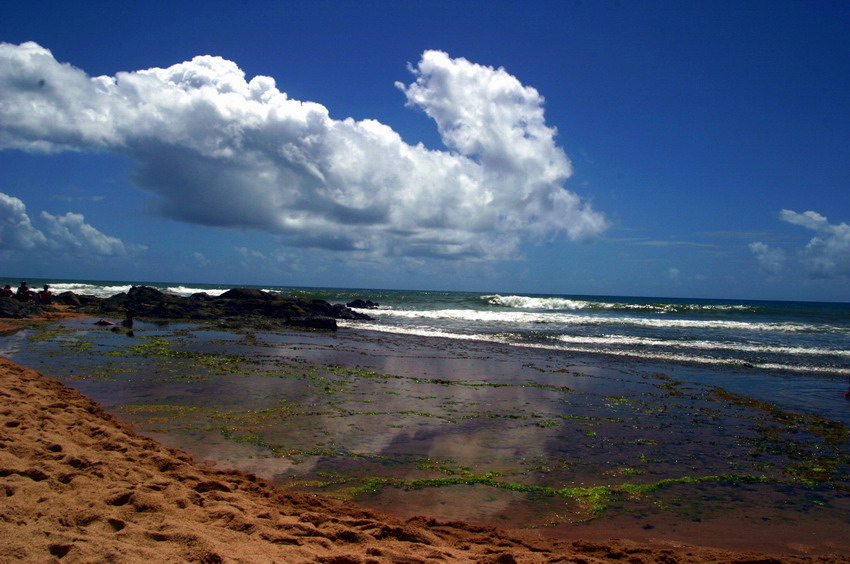 photo "Itapoг (Salvador Bahia Brazil)" tags: travel, landscape, South America, summer