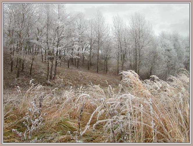 photo "Prelude of long winter" tags: landscape, winter