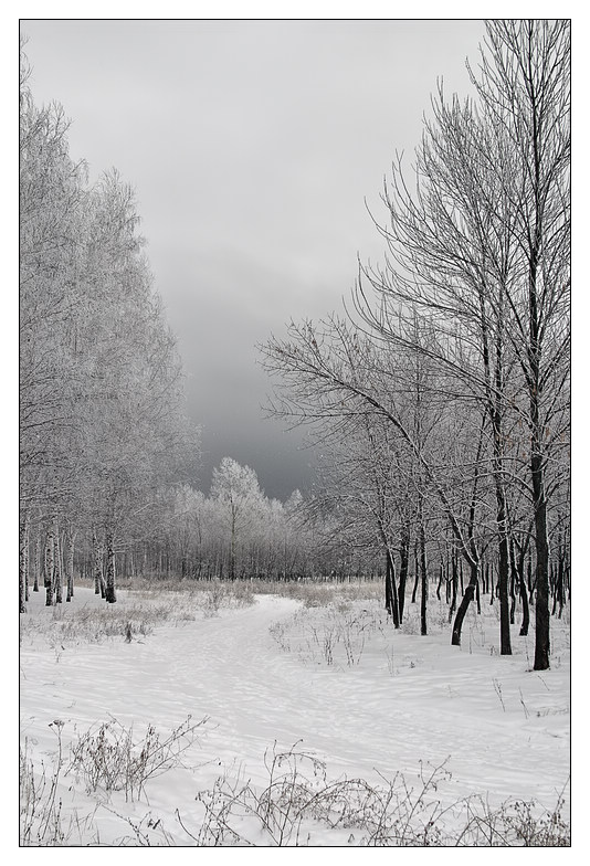 photo "*** ***" tags: landscape, winter