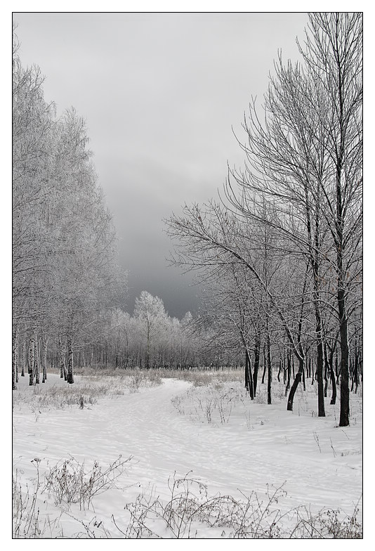 фото "*** ***" метки: пейзаж, зима