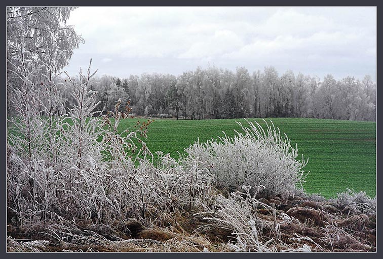 photo "First frost #2" tags: landscape, autumn, winter