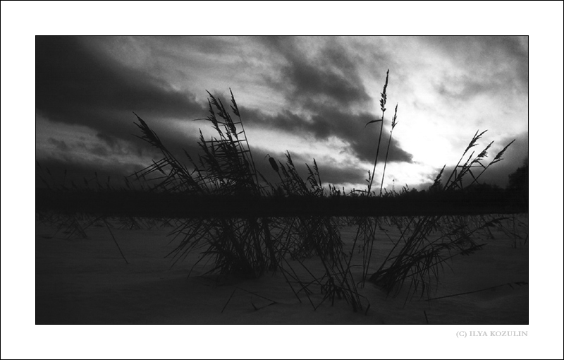 photo "Anxious Feeling...." tags: black&white, 