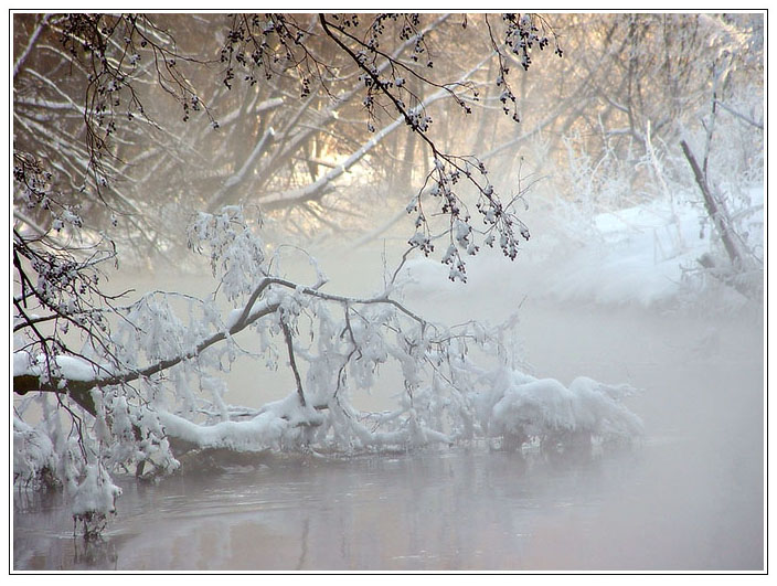 photo "Smoke on the water #1" tags: landscape, forest, winter