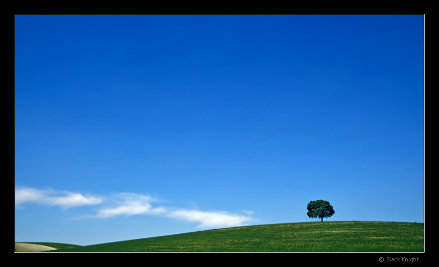 photo "The Hill" tags: landscape, mountains, spring