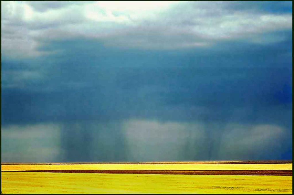 photo "Prairie Storm" tags: landscape, nature, clouds, flowers