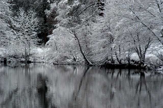 фото "silent in white" метки: пейзаж, природа, зима