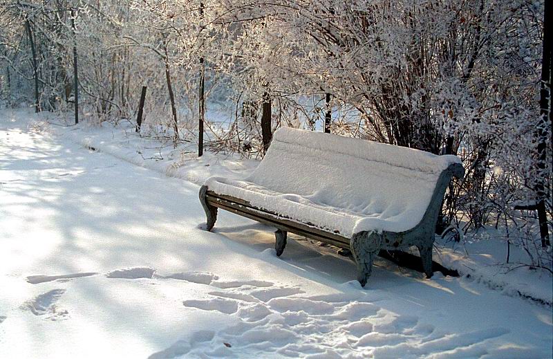 фото "Одинокая скамья ..." метки: пейзаж, зима