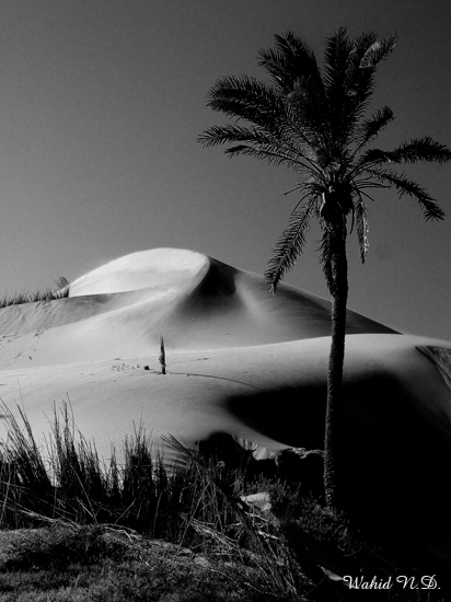фото "Sand Dunes #16" метки: природа, путешествия, Африка