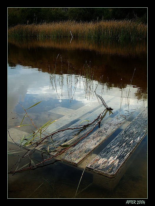 photo "Mystic river" tags: nature, 