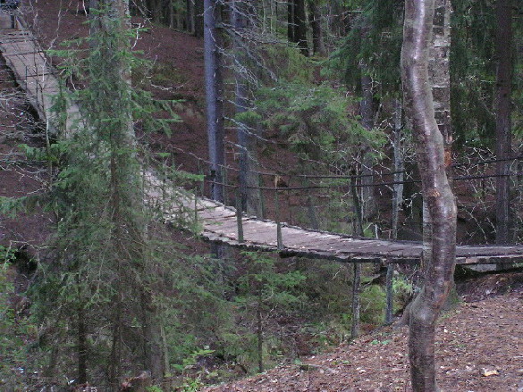 photo "Suspension bridge" tags: landscape, forest