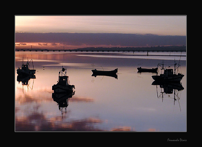 photo "Calm" tags: landscape, water