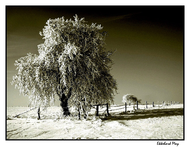 фото "nostalghia" метки: пейзаж, зима