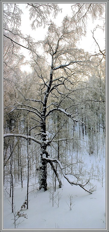 фото "Зимняя миниатюра" метки: пейзаж, зима