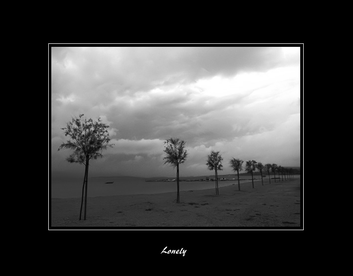 photo "Lonely trees waiting for summer" tags: landscape, travel, Europe, winter