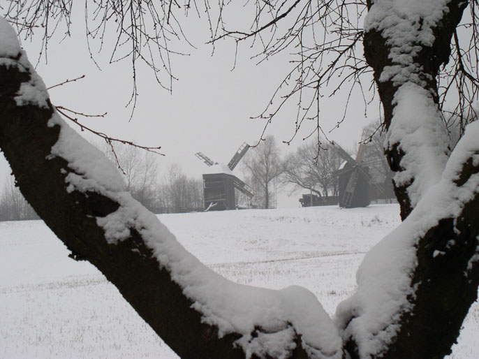 photo "mills" tags: landscape, winter