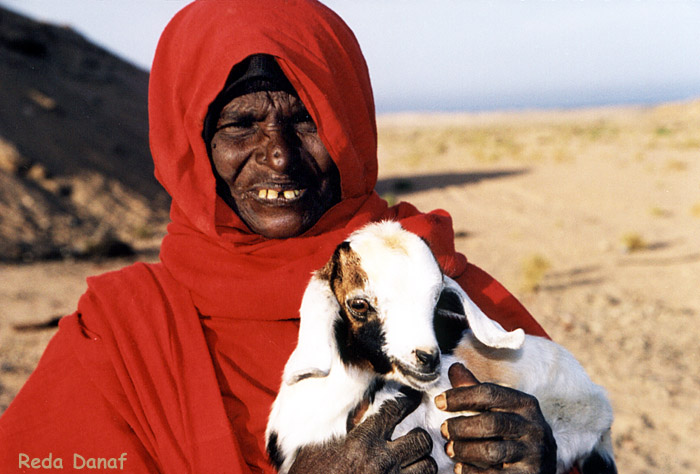 photo "Ababda woman # 2" tags: travel, portrait, Africa, woman