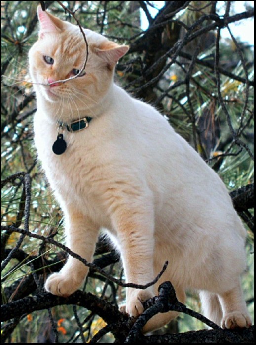 photo "Sniff... Sniff....." tags: nature, humor, pets/farm animals