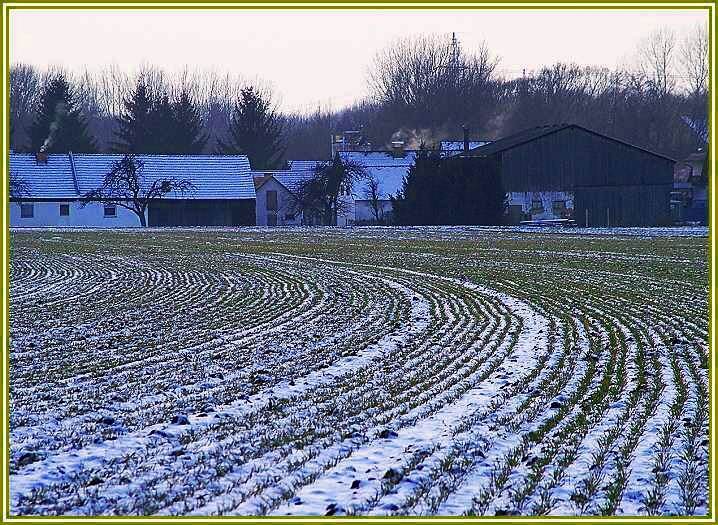 photo "lines" tags: landscape, winter